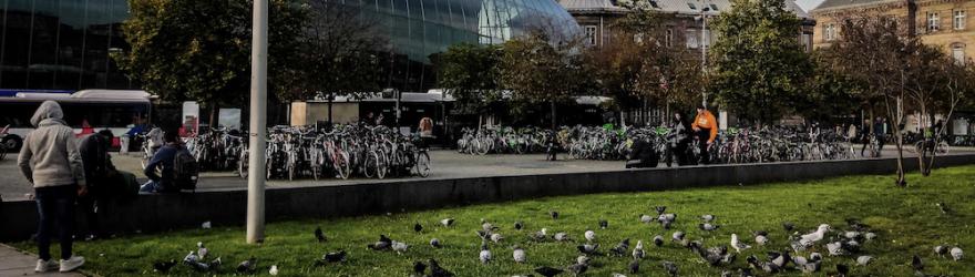 À quai sur le parvis