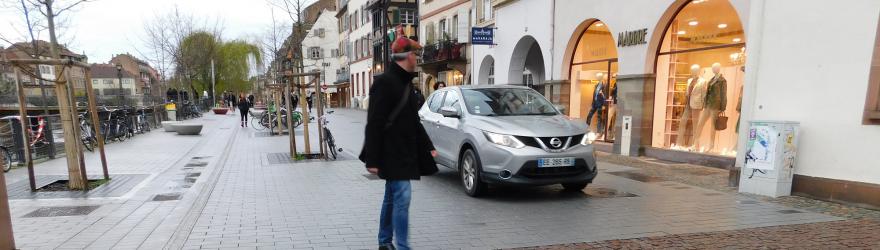 Voiture à Strasbourg : les candidats pas sur la même voie