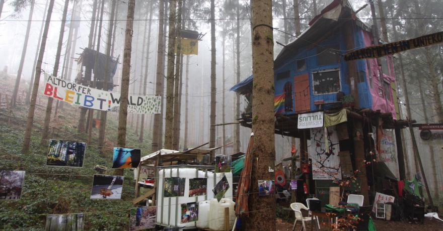 HARO SUR LES ÉCOLOS