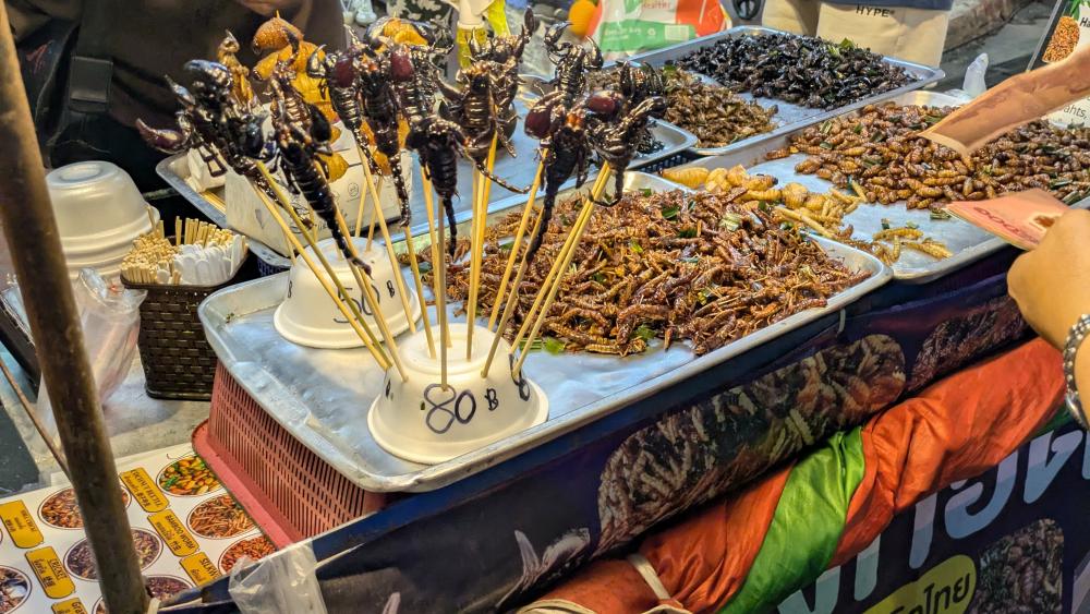 80 bahts le scorpion, 50 bahts la sauterelle... vous trouvez aussi des grillons et des vers. © Pauline Moyer