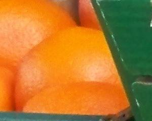 Les petits commerçants s'inquiètent pour leurs dimanches