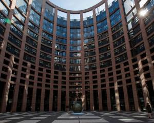 Le bar, poisson d'intérêt européen