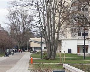 Étudiants : un peu de présentiel, beaucoup de lassitude