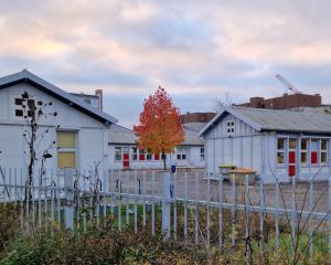 À l'école de la Meinau, un choix de classes