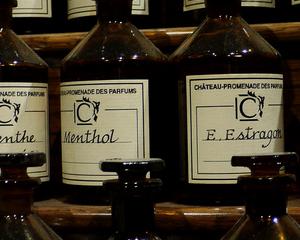 Le salon du parfum vient embaumer Mulhouse