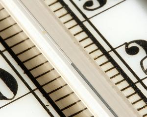  1°C de plus depuis 1950 en Alsace