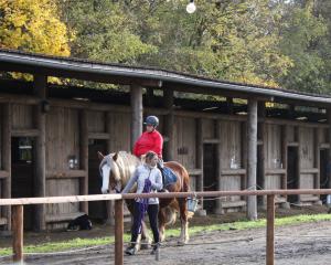 À cheval entre inclusion et esprit d'équipe