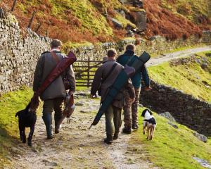 La restriction progressive de la chasse en France