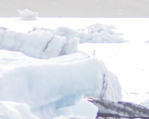 L’Antarctique atteint sa superficie maximale la plus basse depuis 1979
