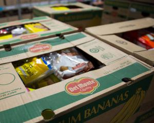 Le chèque Taubira, trop modeste pour lutter contre la précarité alimentaire