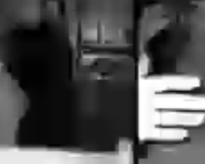 Commémorer Charonne pour ne pas oublier