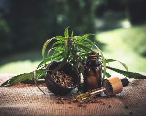 Infuser, oui, s'enfumer, non