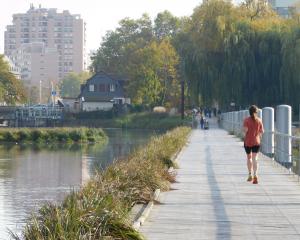 Jardiniers et herbes folles            aux pieds des tours