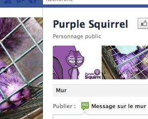 Un écureuil violet détonne sur la toile