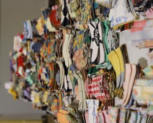 Haguenau, terre solidaire
