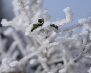 Vague de froid sur le web