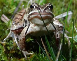 Biodiversité : pour que la nature reprenne ses droits