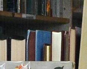Librairies indépendantes : connexion en cours