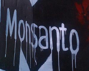 Intoxication à l'herbicide : Monsanto condamné