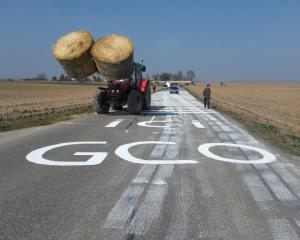 GCO : 