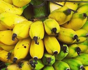 Régime de faveur pour la banane des îles