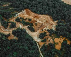 Lutter pour préserver l’environnement tue