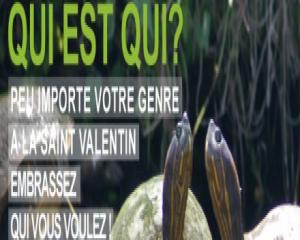 Les Verts voient la campagne en rose