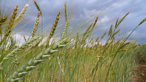 20150220-JP 14526357472_b6de345a77_k.jpg